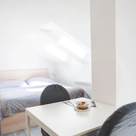 Silvie Apartments - Wurmova Olomouc Room photo