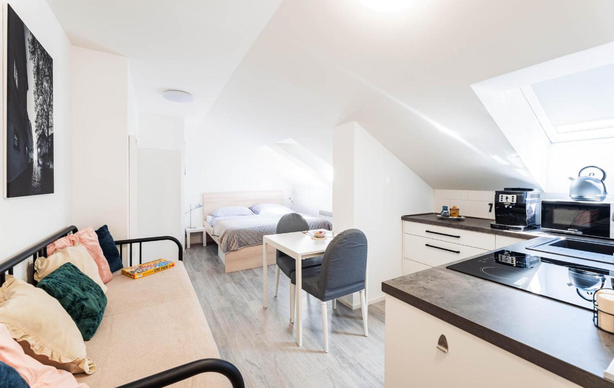 Silvie - Wurmova Apartment